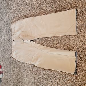 The North Face Men's Regular Fit Khaki Pants